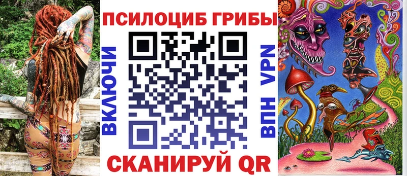 Купить где  Беломорск  Галлюциногенные грибы GOLDEN TEACHER 